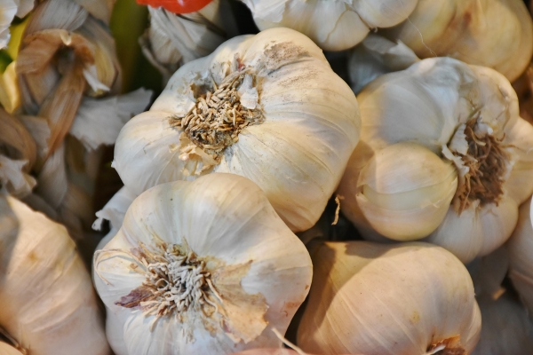 Dried garlic - Nông Sản U&B - Công ty TNHH Xuất Nhập Khẩu Nông Sản U&B